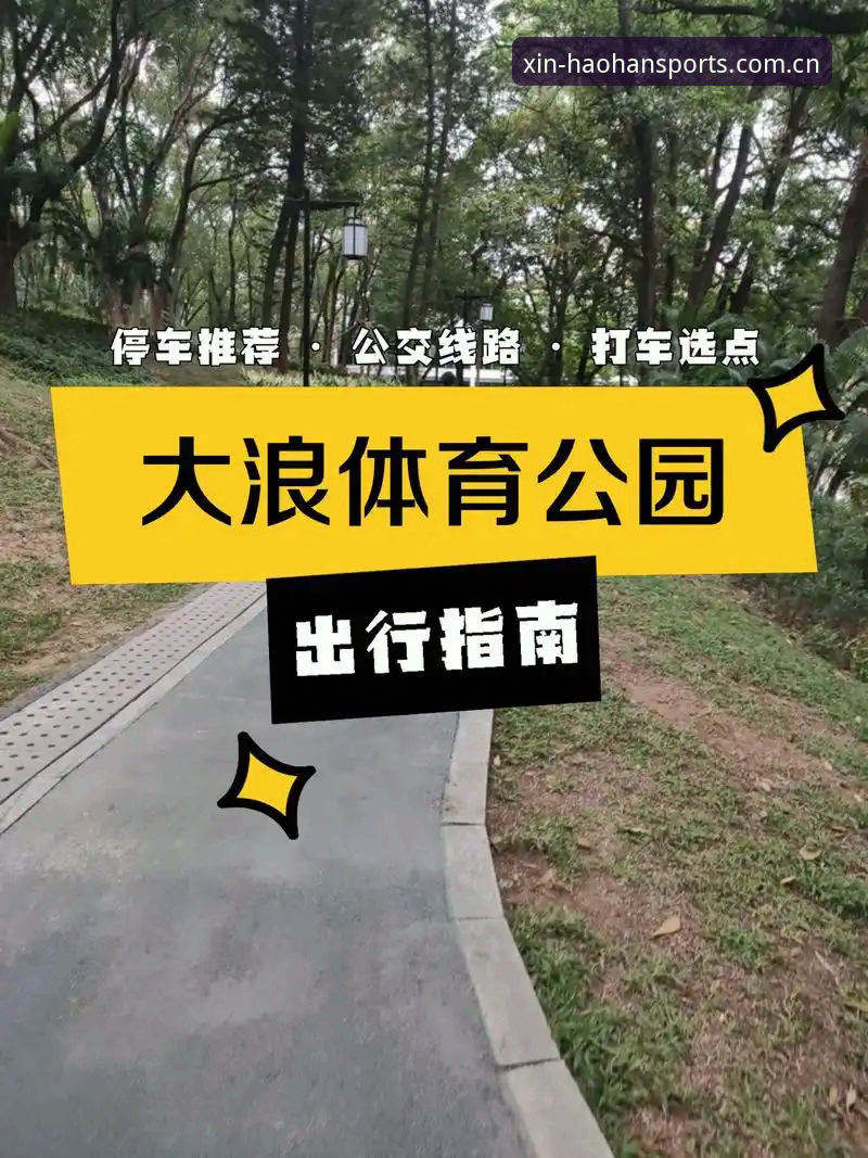 浩瀚体育平台用户评价评测完整指南：从新手到高手的实用经验